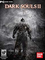 ڰ֮2Dark Souls 2޸