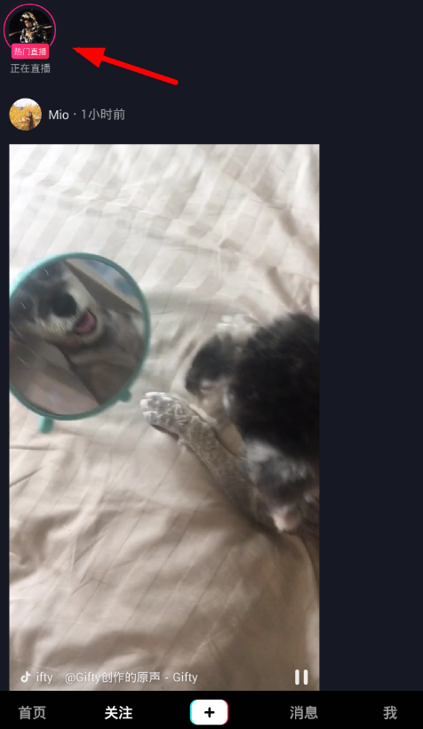 ֱôĻ ֱĻʲô
