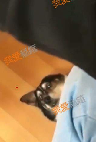 С_С̳