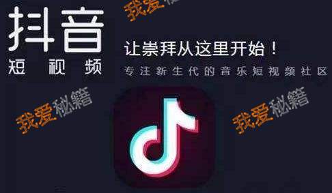 i love poland歌词翻译 中文释义解读