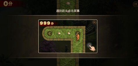 ʵλô 淨̳