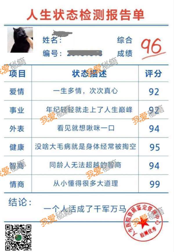 微信人生状态检测游戏入口_人生状态检测报告单生成方法