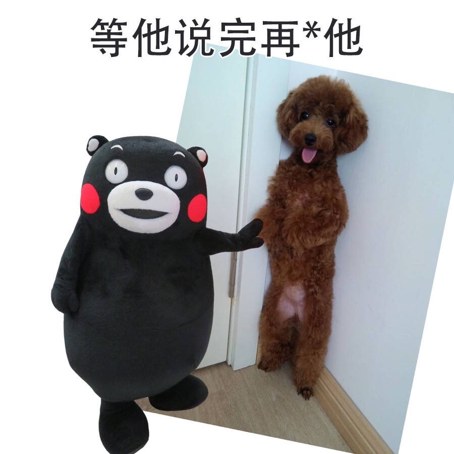 ˵  ȫ