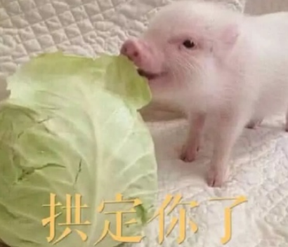 ȸЦŮ.png
