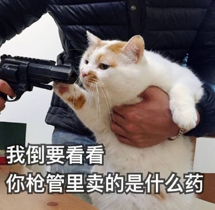 Ҷǹûбȫ ҶǹûбͼƬ