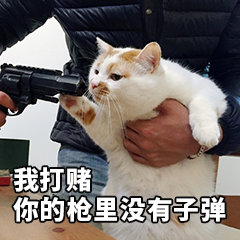 Ҷǹûбȫ ҶǹûбͼƬ