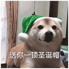 Цʥڱ ʥֱҪ