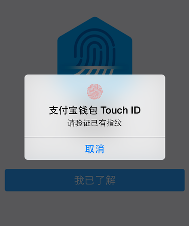 ָ֧֧Touch IDָ֤[ͼ]ͼƬ6