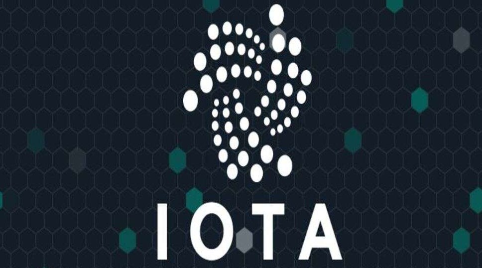 iota2024껹Ͷ