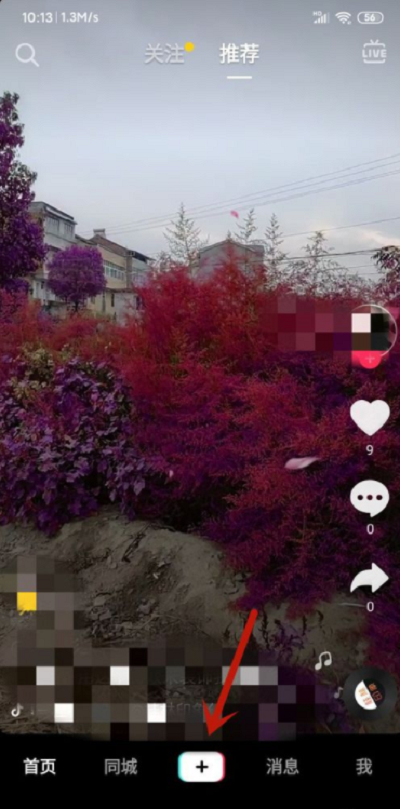 ƵʲôƵ̳