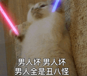 èĶͼȫ èӫgifͼ