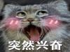 hshsͼƬȫ hshs˷ܱںͼ