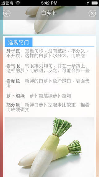 伊特