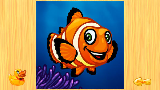 Ocean Animals - ΪӺ׶ɻ֮ͼ0