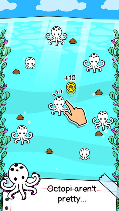 Octopus Evolution | ͻ