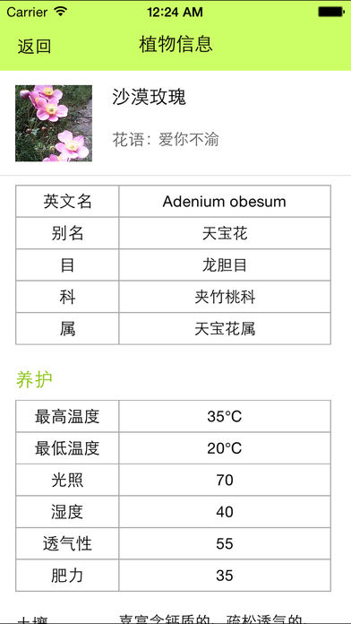 花小白