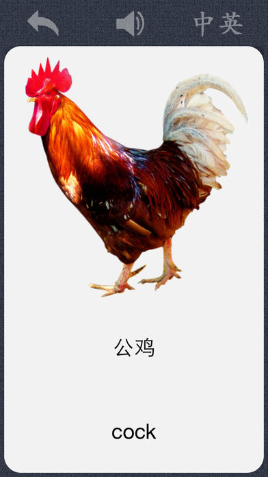 Ƭͼ1