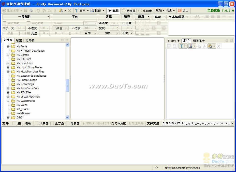 ˮӡרҵ(PhotoWatermark Pro)