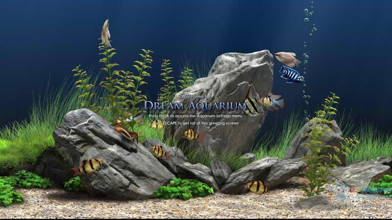 Dream Aquarium(λˮ)