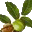 CUC_ParaConc(йýѧƽϼ)