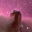 winstars(ĵ)