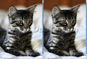Photoshop