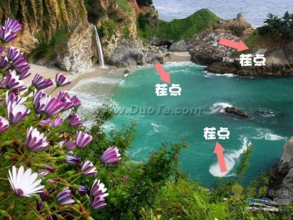 ţ