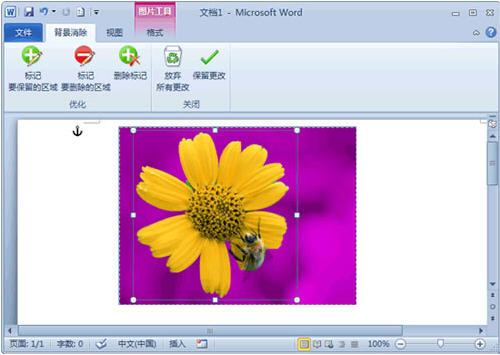Word 2010ȥͼƬС