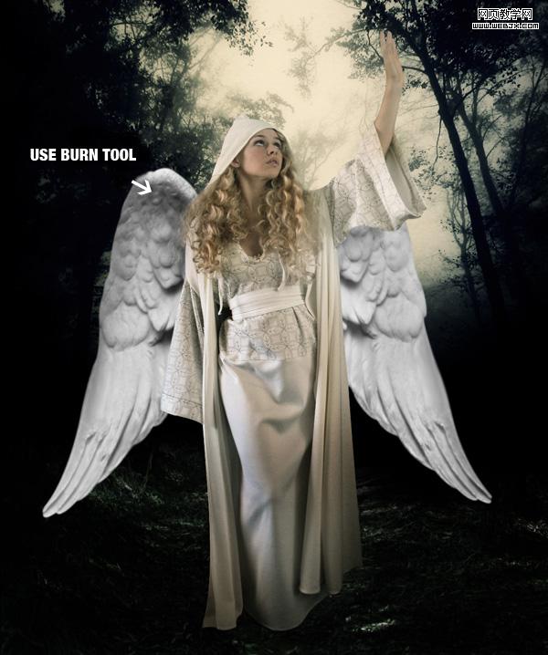 PhotoShop