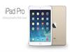 iPad ProĻǶ