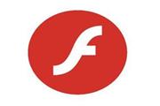 flash playerжزô