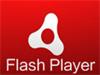 flashΪʲôز