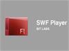 swfתmp4Flash?