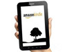 Kindle֧ʲôʽôȡЩʽ