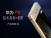 ΪP8mate7ĸ