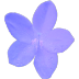 ΢ˮľ
