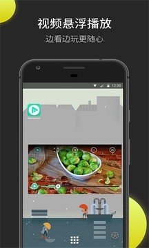MoboPlayerͼ2