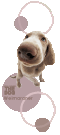 60135