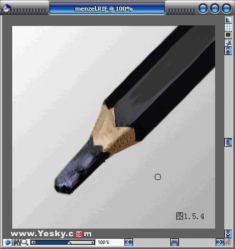 Painter 8Զˢ