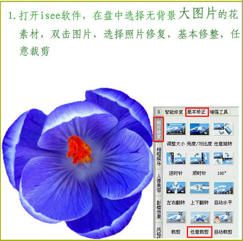 iseeԵ𻯹