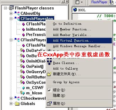 VC++޸FlashҼ˵ΪԶ˵
