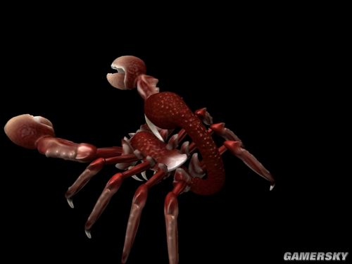 ӡЫƷ