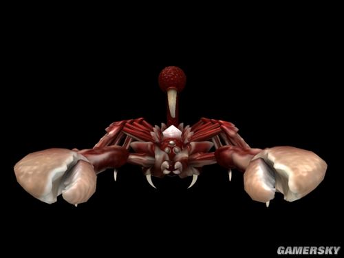 ӡЫƷ