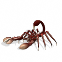 ӡЫƷ