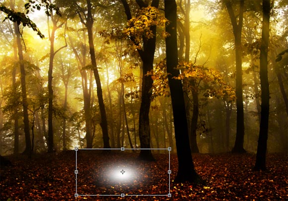 PhotoshopͼƬϸͶ