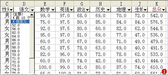 ExcelɸѡӦ