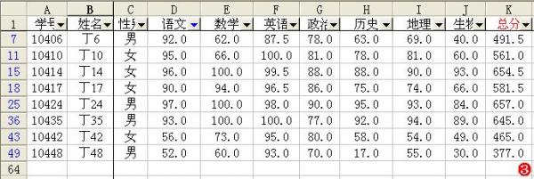 ExcelɸѡӦ