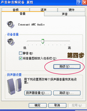 ˫