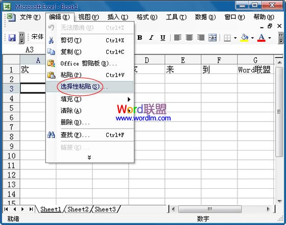 Excel2003ôеݸƵ