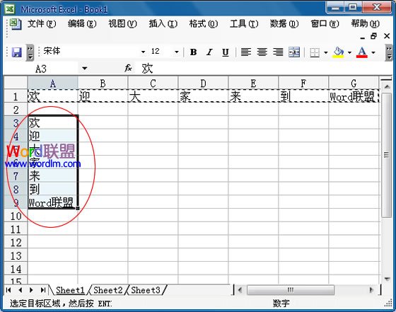 Excel2003ôеݸƵ